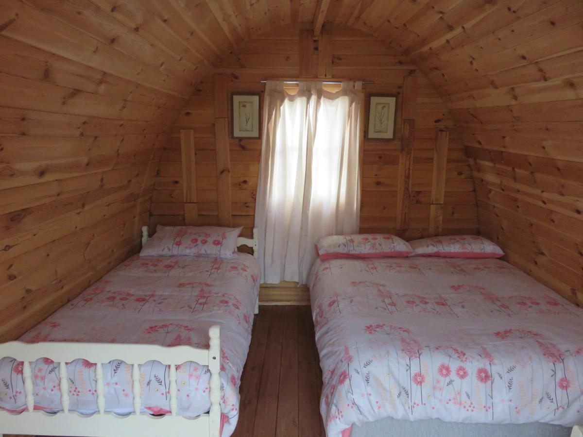 Shannon Estuary Glamping Effernan Εξωτερικό φωτογραφία