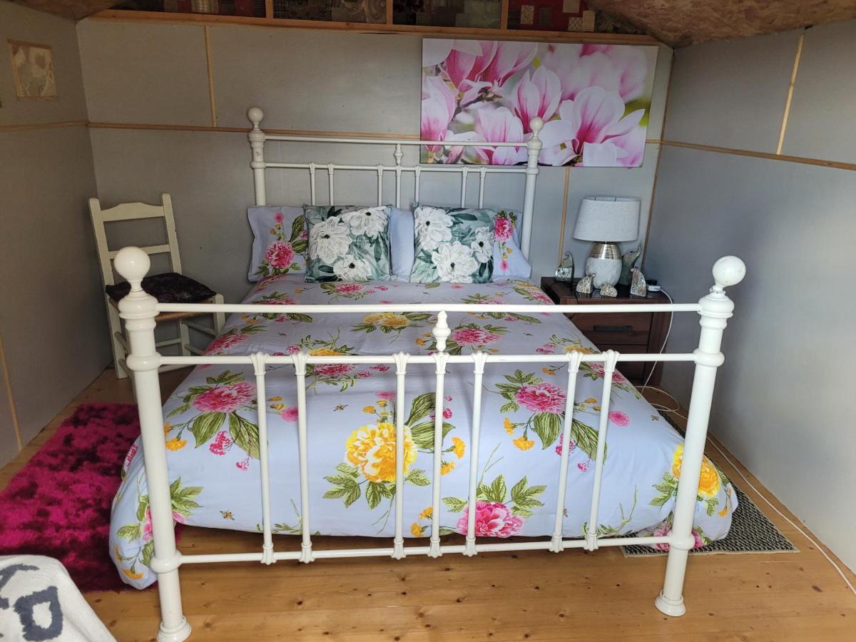 Shannon Estuary Glamping Effernan Εξωτερικό φωτογραφία