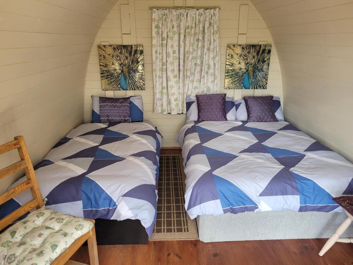 Shannon Estuary Glamping Effernan Εξωτερικό φωτογραφία