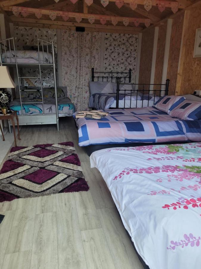 Shannon Estuary Glamping Effernan Εξωτερικό φωτογραφία