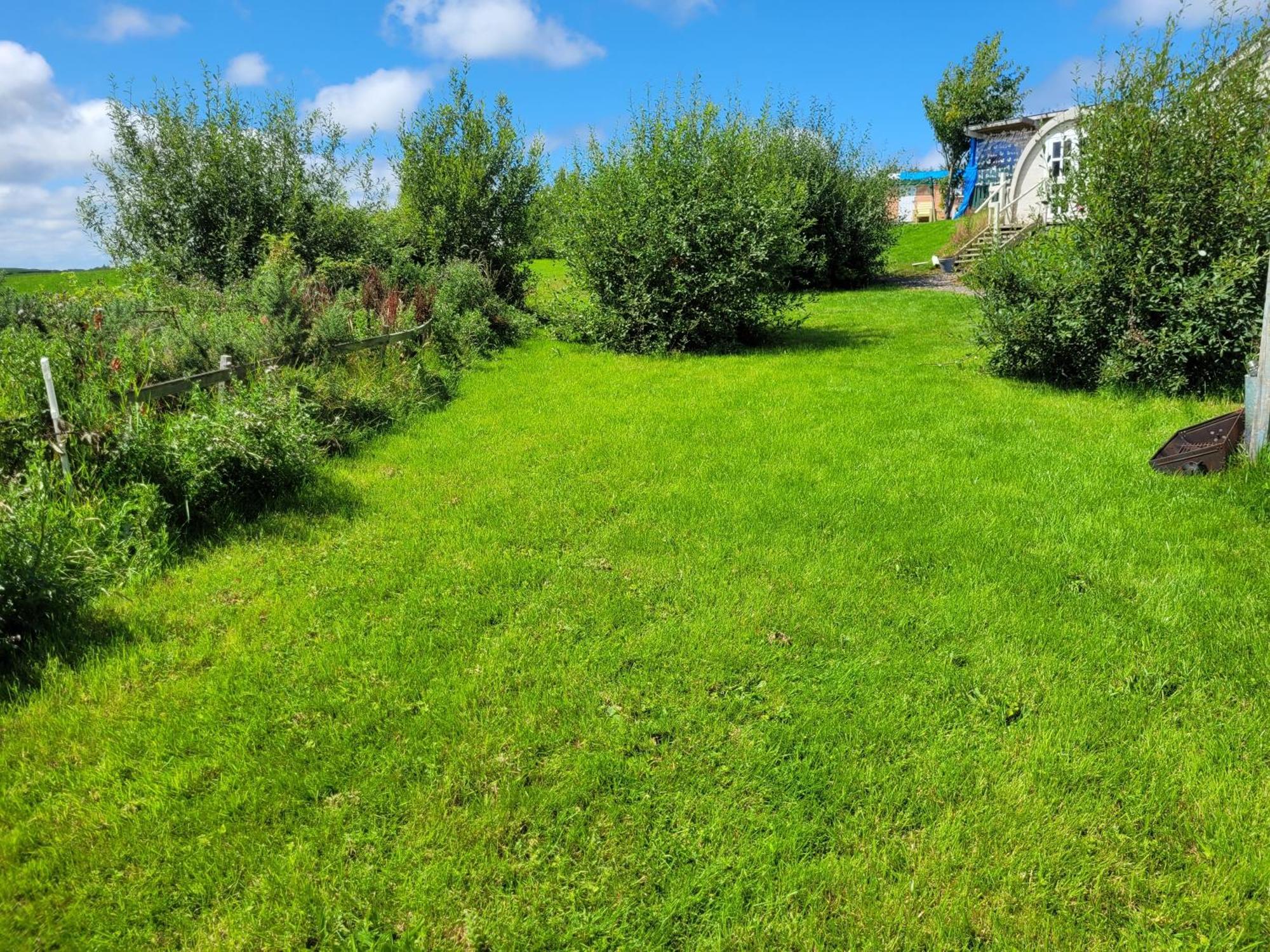 Shannon Estuary Glamping Effernan Εξωτερικό φωτογραφία