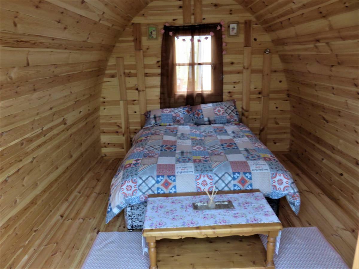 Shannon Estuary Glamping Effernan Εξωτερικό φωτογραφία