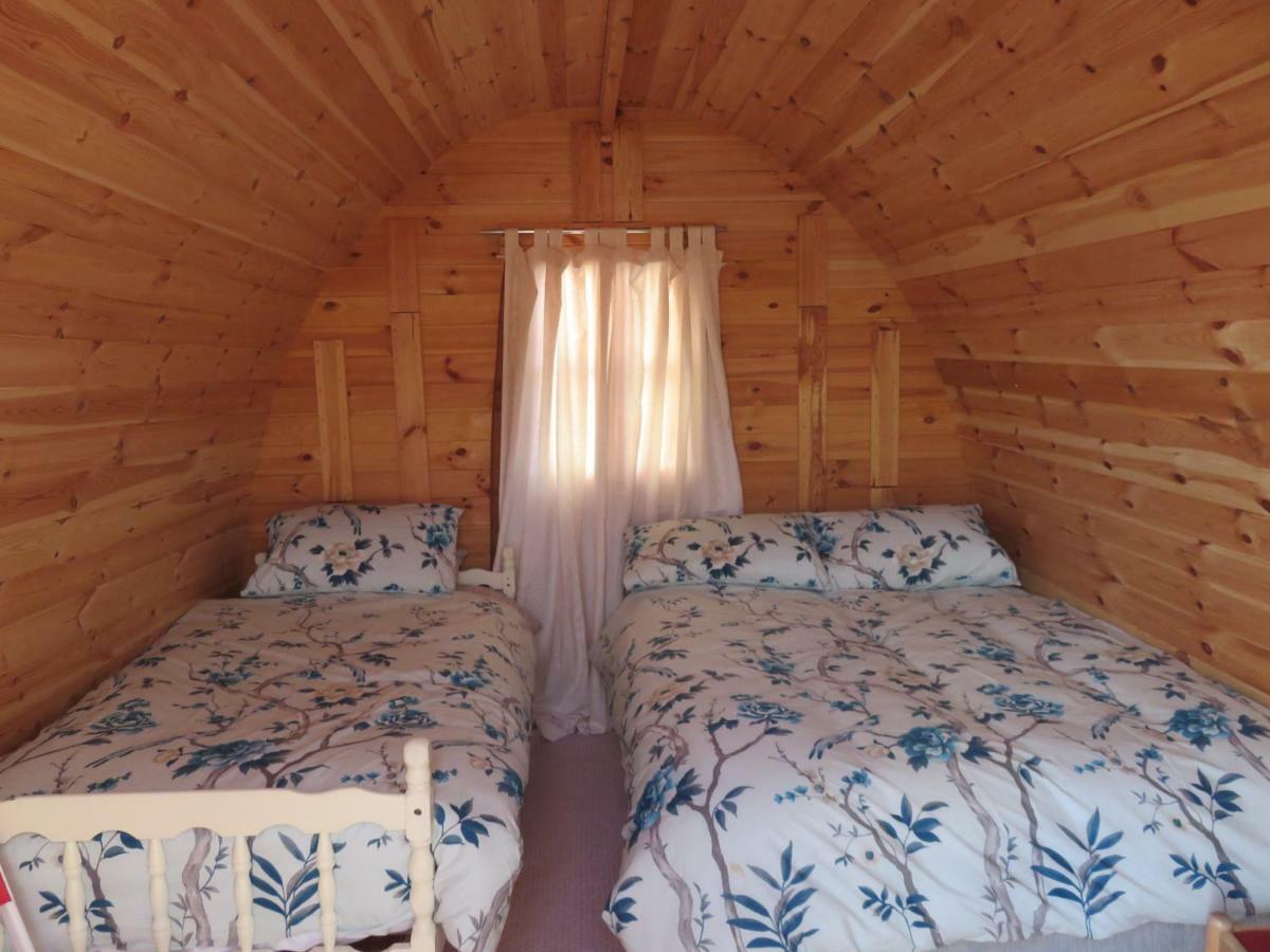 Shannon Estuary Glamping Effernan Εξωτερικό φωτογραφία