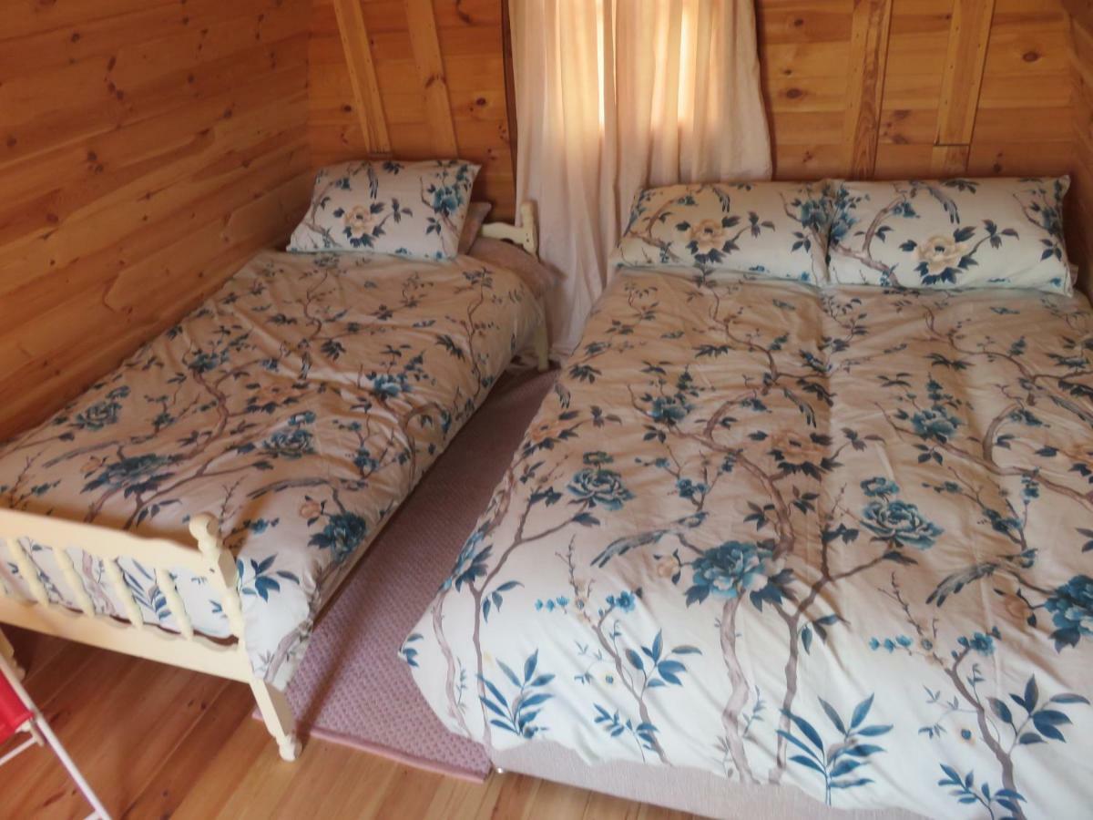 Shannon Estuary Glamping Effernan Εξωτερικό φωτογραφία