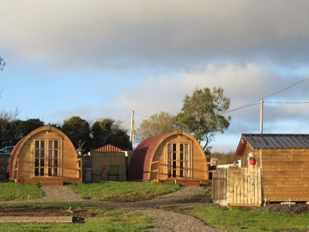 Shannon Estuary Glamping Effernan Εξωτερικό φωτογραφία