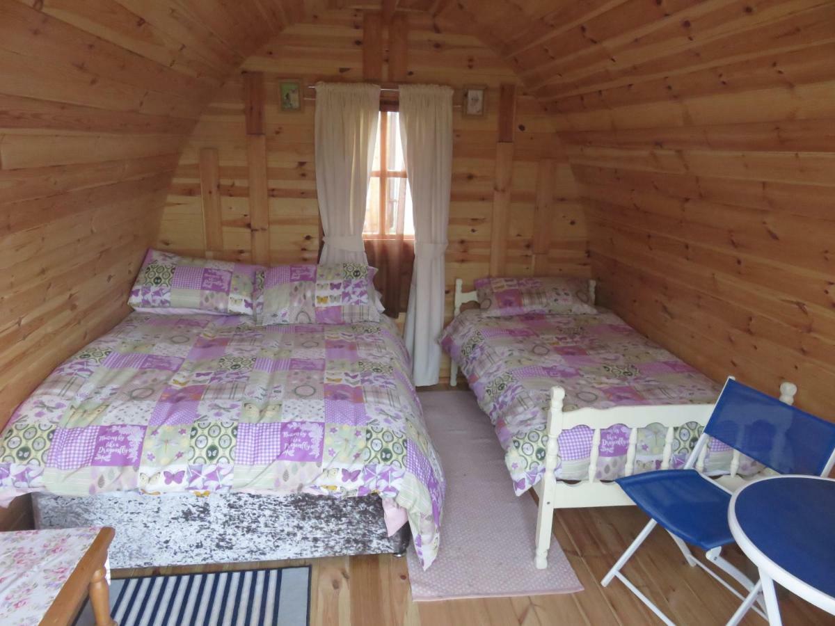 Shannon Estuary Glamping Effernan Εξωτερικό φωτογραφία