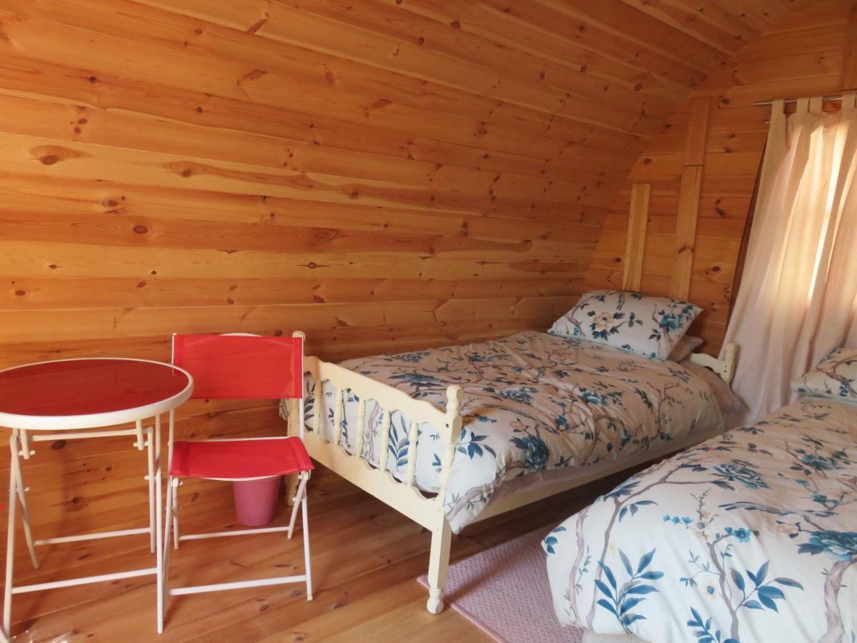 Shannon Estuary Glamping Effernan Εξωτερικό φωτογραφία